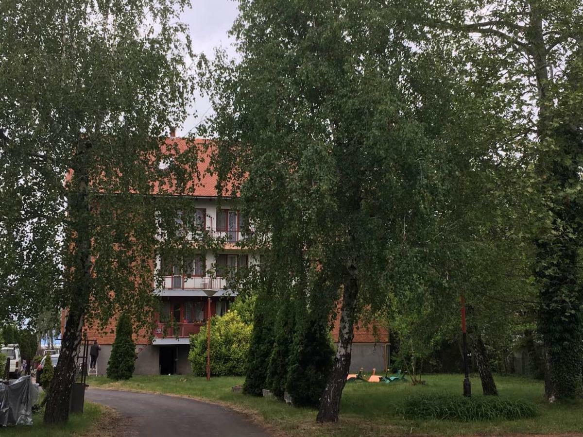 Balatoni Retro Villa Балатонфенивес Екстериор снимка